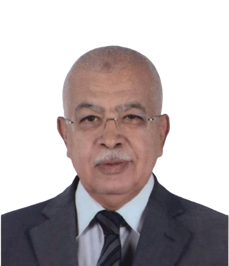 Prof. Mohamed Ismail Serag
